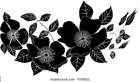 illustration with black and white rose flower