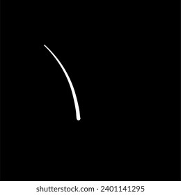 Illustration of a Black and White Strand of Hair