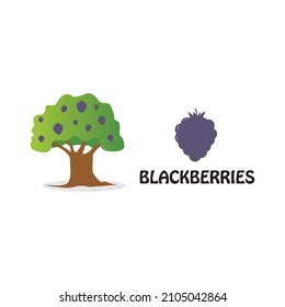 Illustration of a blackberries tree isolated on white background vector design