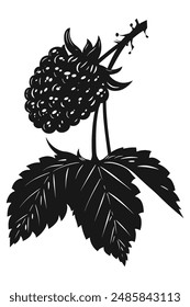 Illustration of Blackberry fruit vector silhouette. vector icon for food apps and websites
