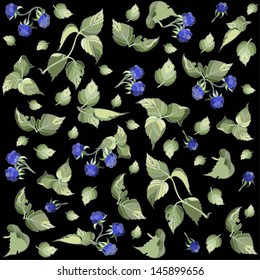 Illustration  blackberry. Seamless background.