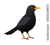 illustration of a blackbird animal on a white