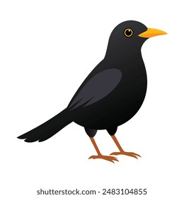 illustration of a blackbird animal on a white