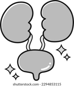 Illustration of the bladder (black and white)
