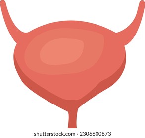 
illustration of the bladder, which is one of the organs that plays an important role for the human body which is nice and unique, suitable for education, template ornaments, and so on