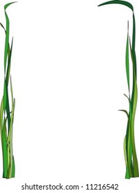 Illustration of blades of grass framing a page