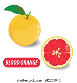 Illustration Blood Orange On White