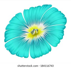 Illustration of a blooming blue flower on a white background