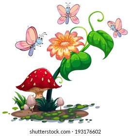 Illustration of a blooming flower surrounded by three butterflies on a white background