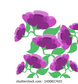 Illustration of blooming flowers on a white background