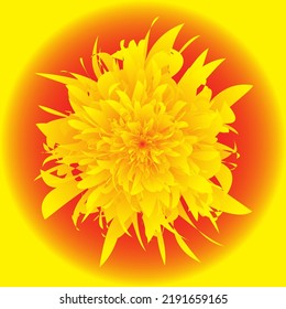 illustration of a blooming yellow flower seen from above
