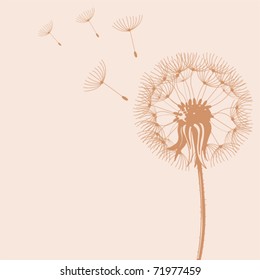 Illustration of Blow Dandelions on color background