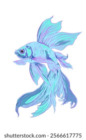 illustration of a blue betta fish without a background