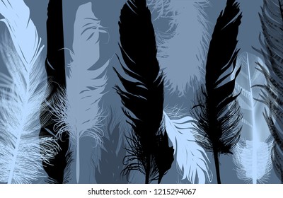 illustration with blue and black feathers background
