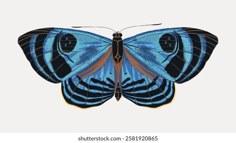 Illustration of a blue butterfly with detailed wings. The butterfly features intricate patterns. Blue butterfly with striking patterns and vibrant blue wings. Vintage butterfly illustration vector.