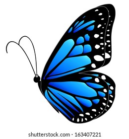 Illustration of a blue butterfly flying on a white background 
