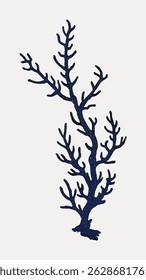 Illustration of a blue coral branch with intricate details. The coral branch is depicted in a stylized manner, showcasing its unique, branching structure. Hand drawn illustration vector.