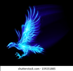 Illustration of blue fire hawk on black background. 