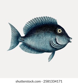 Illustration of a blue fish with detailed scales and fins. The fish has a round body and a prominent eye. Blue fish art with textured scales and fins. Vintage fish illustration isolated, vector.