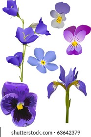 illustration with blue flowers collection isolated on white background