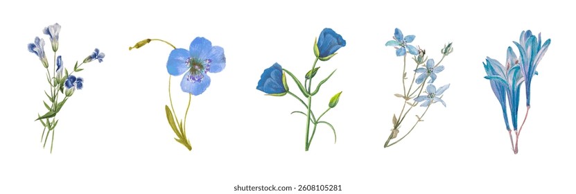 Illustration of blue flowers, featuring delicate petals and green stems. Blue flowers arranged in a row, showcasing various blue floral designs and styles. Nature illustrations, element vector set.