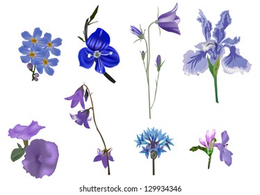 illustration with blue flowers on white background