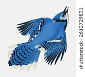 Illustration of a blue jay in flight. The blue jay features vibrant blue feathers, black accents, and a white face. Blue jay depicted with wings spread wide. Vintage bird illustration, animal vector.