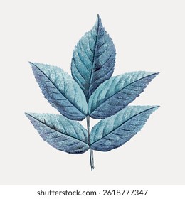 Illustration of blue leaves with textured details. The blue leaves form a symmetrical pattern. Blue leaves are depicted with intricate veins and shading. Vintage botanical illustration vector.