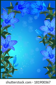 illustration with blue lily flowers