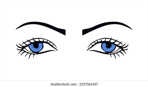 Illustration of a blue luxurious female eye with eyebrows and lush eyelashes. Business card idea, vector typography. Perfect interior look.