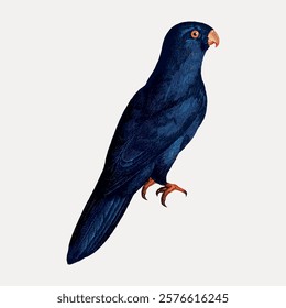 Illustration of a blue parrot with orange beak and claws. The parrot is perched, showcasing its vibrant blue feathers and distinct orange features. Vintage animal illustration isolated, vector.