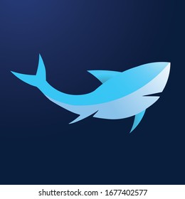 illustration of blue shark in minimalism style