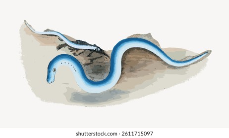 Illustration of a blue snake in a desert landscape. The snake is long and blue, slithering through sandy terrain. Blue snake, desert, and sand are key elements. Vintage fish illustration vector.