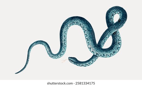 Illustration of a blue snake with intricate patterns. The snake's scales are detailed, showcasing a realistic design. Blue snake with detailed patterns. Vintage reptile illustration isolated, vector.