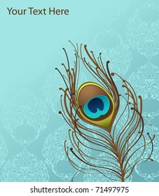 illustration with blue wallpaper and peacock feather