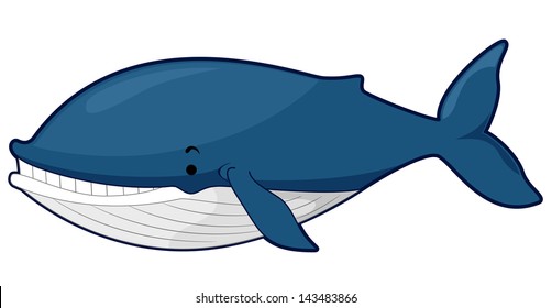 Illustration of a Blue Whale