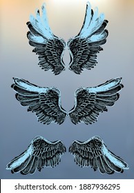 illustration with blue wings on light background