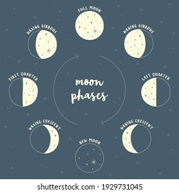 Illustration in blue and yellow of moon phases in vector
