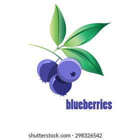 illustration of blueberries on a white background