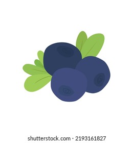 
Ilustración de arándanos. Fruta de bebé vectorial para diseño