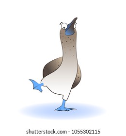 Illustration of blue-footed gannet. A cartoon bird walks. Gannet is surprised