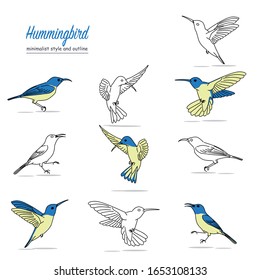 illustration of blue-green hummingbirds with various poses of flying and alighting. with a minimalist style and outline. vector