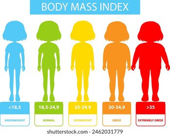 Darstellung der BMI-Kategorien und -Bereiche