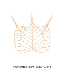 Illustration of Bodhi leaf. Modern skeleton of bodhi leaf for wall photo and logo design. Gold and green bodhi leaf.