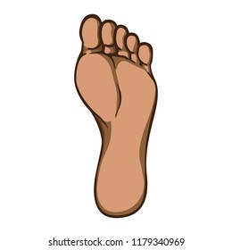 Illustration of body part, plant or sole of right foot, afro descent. Ideal for catalogs, information and institutional material