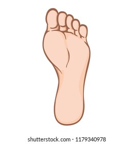 Illustration of body part, plant or sole of right foot, caucasian. Ideal for catalogs, information and institutional material