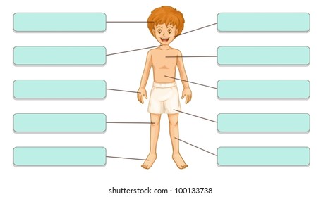 Illustration of body parts labels
