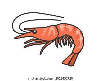 Illustration of boiled shrimp in food.