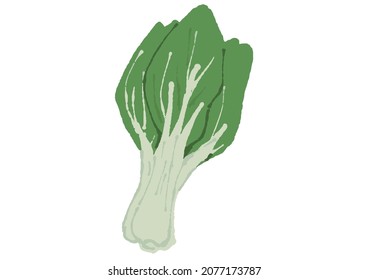 チンゲン菜 のイラスト素材 画像 ベクター画像 Shutterstock