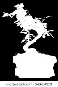 illustration with bonsai tree in pot silhouette isolated on black background